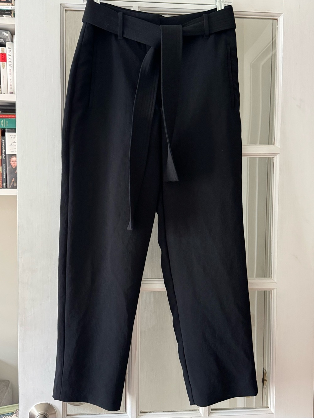 Aritzia Paperbag Style Work Pant